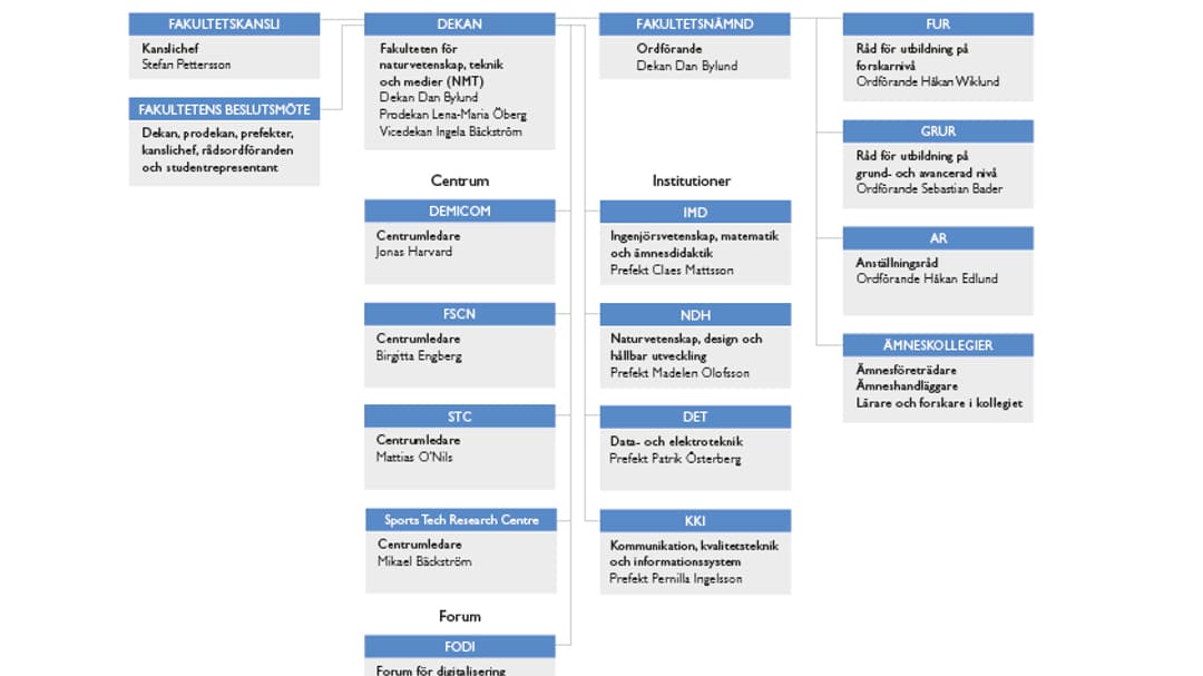 Grafik på en organisationsplan för NMT, Mittuniversitetet