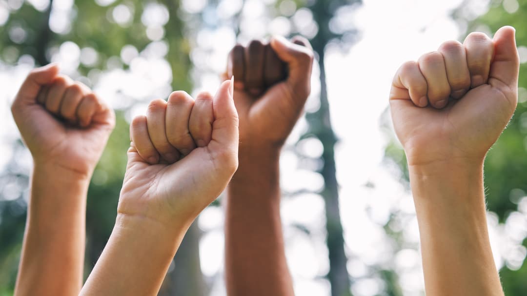 Peoples fist in the air outside in nature