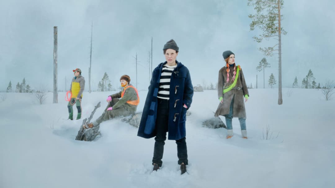 Fyra personer står på ett snöklätt kalhygge