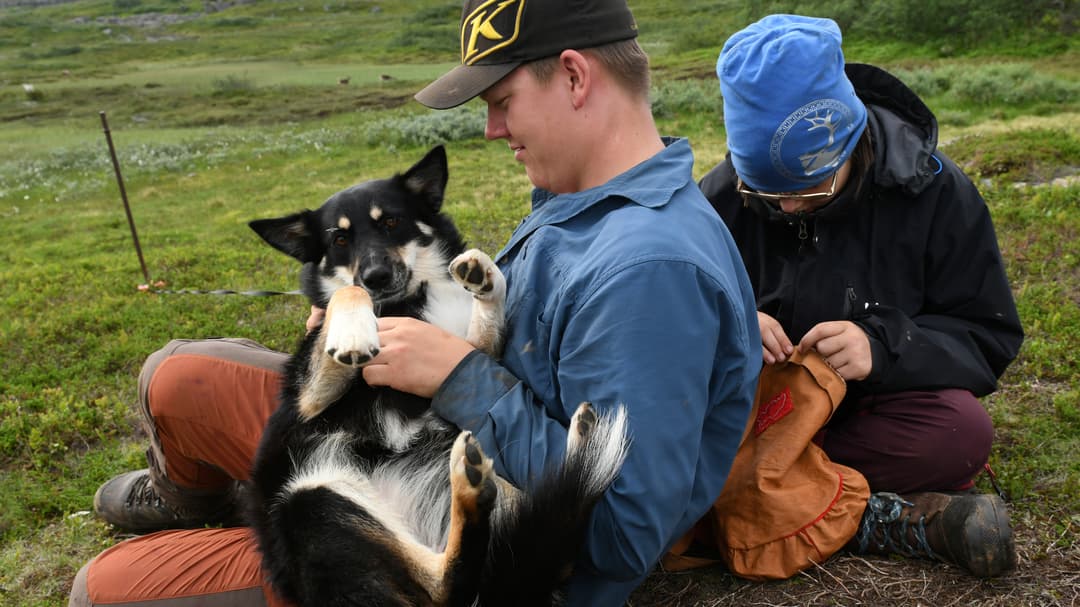 Två ungdomar och en hund. 