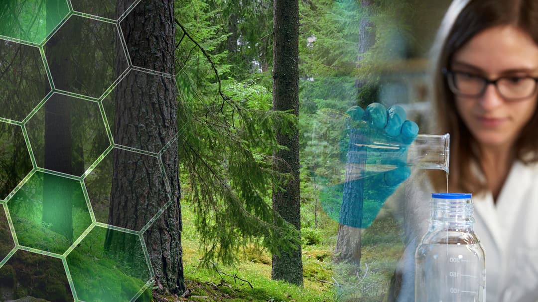 Montage av bild på skog och kvinna i laboratoriemiljö.