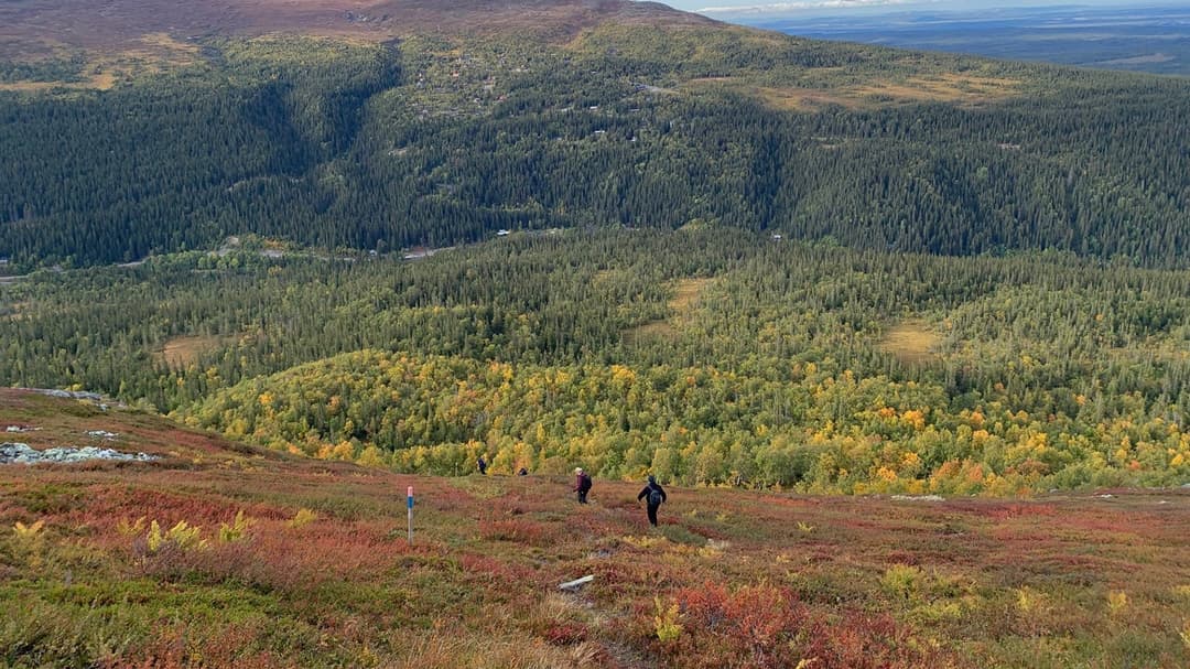 Fjällvandring i Bydalen
