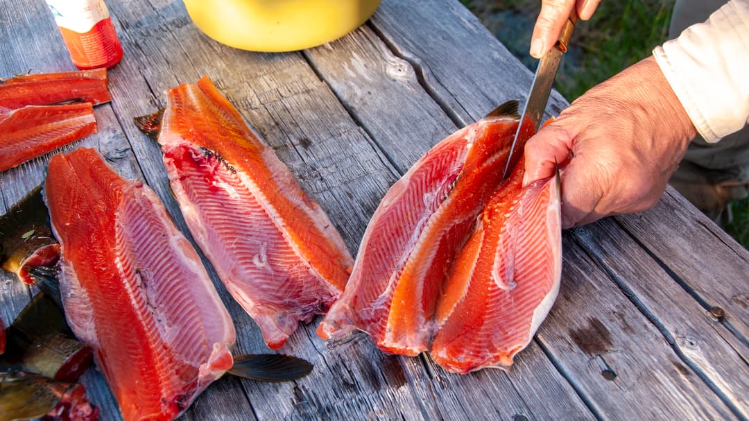Händer som rensar fisk.