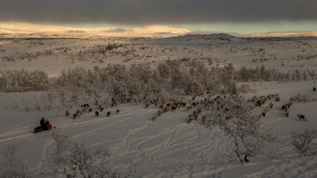Fjällandskap täckt av snö.