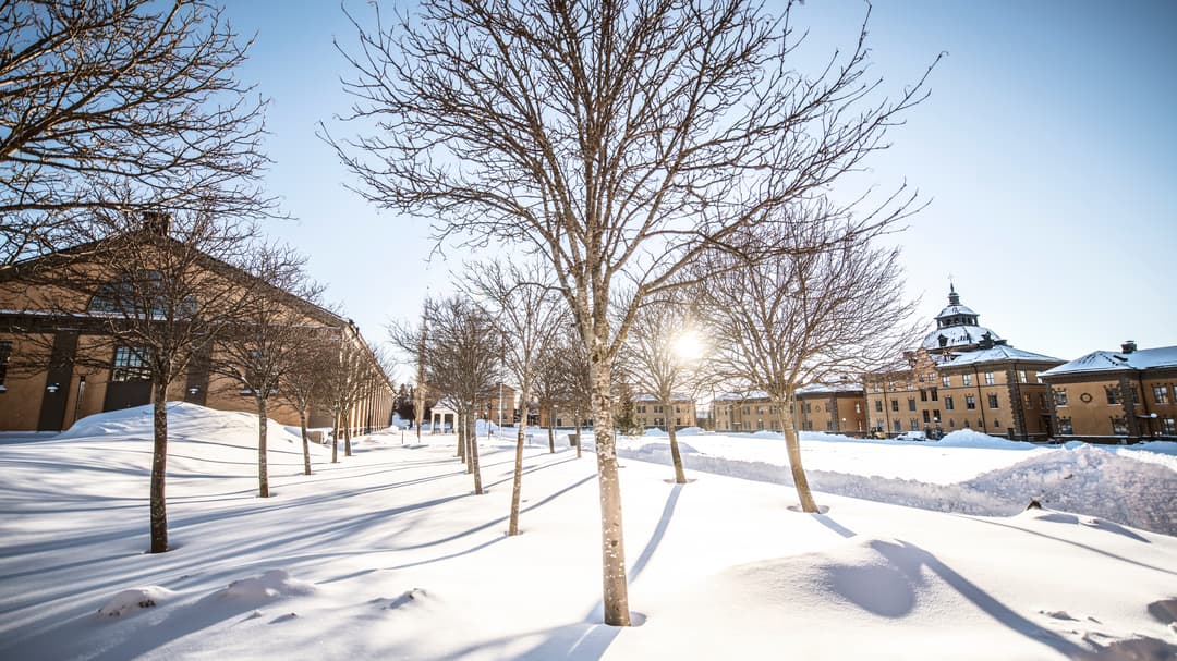 Campus Östersund, exteriör 