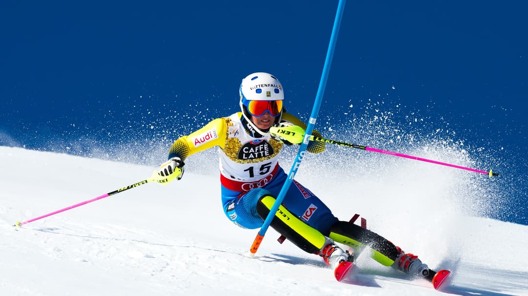 Flyer - Alpine Skiing Photo 2.jpg