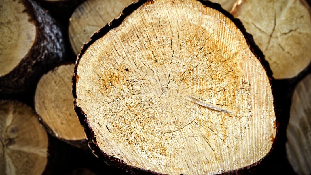 Logs.