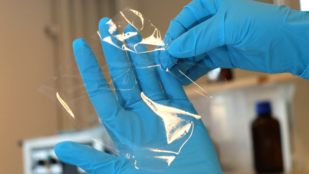 NewProductsNanoCellulosa1.jpg