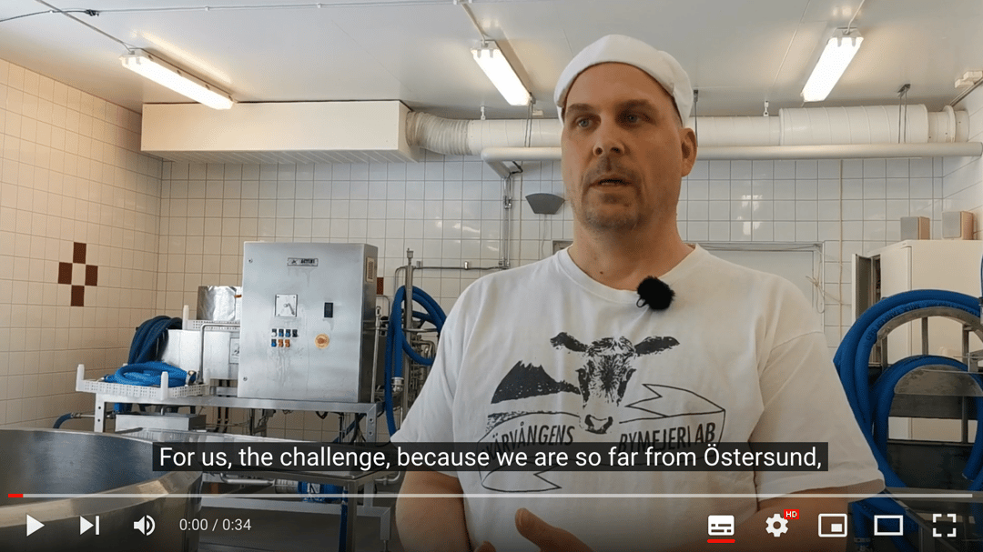 Patrik Östlund, Skärvångens village diary