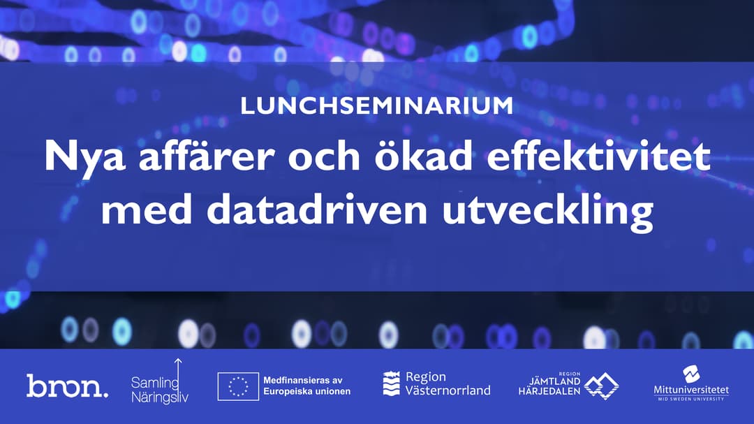 Lunchseminarium Nya affärer och ökad effektivitet med datadriven utveckling