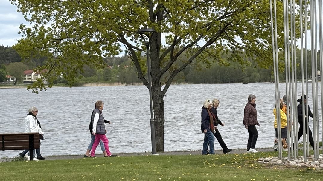 Ett antal damer som promenerar längs vattnet i Strängnäs. 