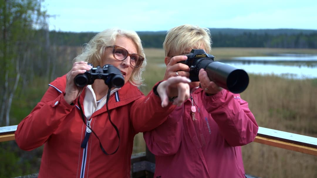 Picture from video Tillgänglig naturturism 