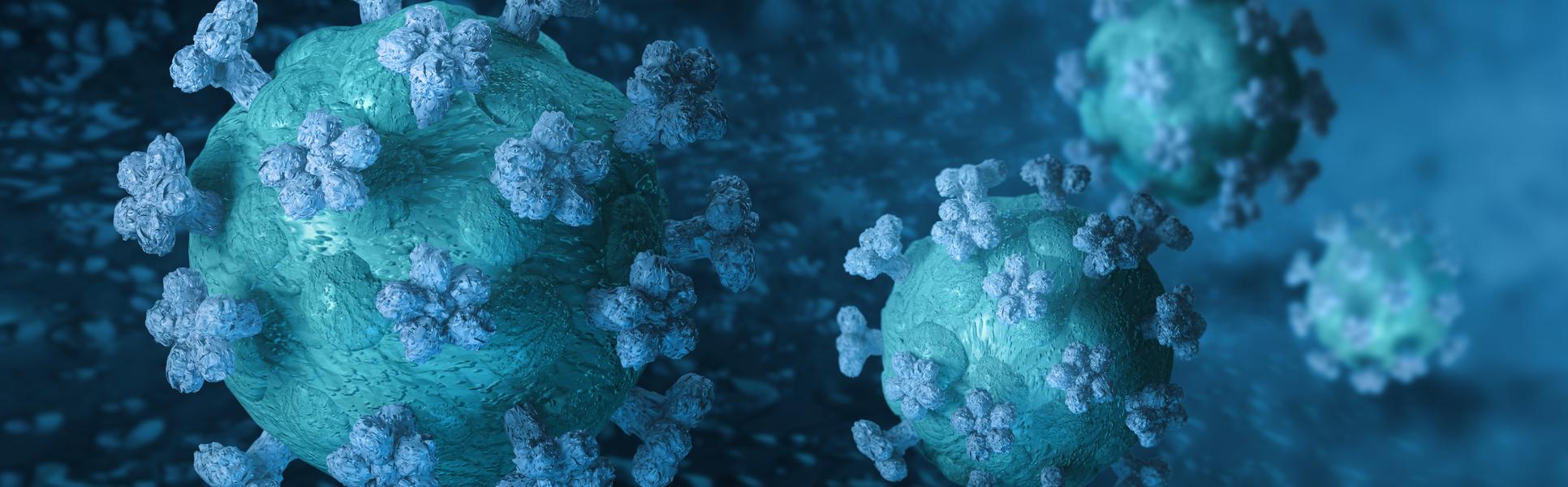 Coronavirus