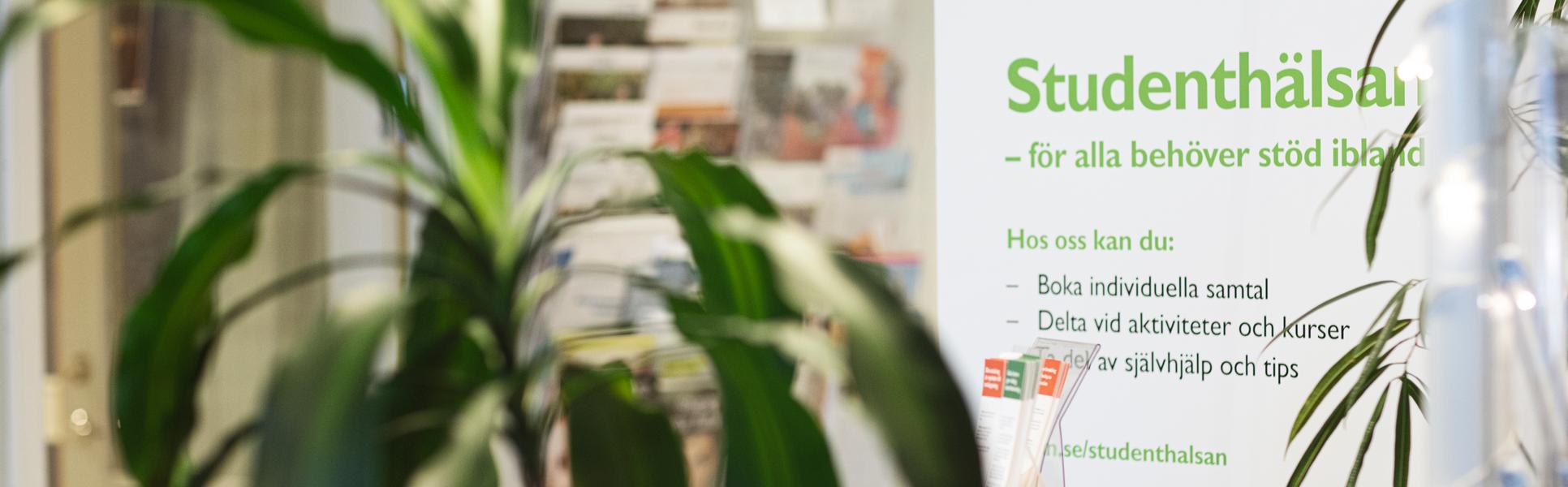 Student Health Care Sundsvall