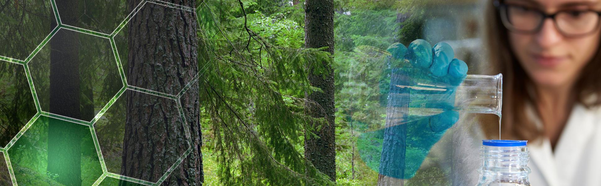A montage of an image of a forest and a woman in a laboratory environment.