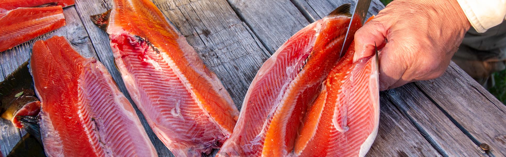 Händer som rensar fisk.