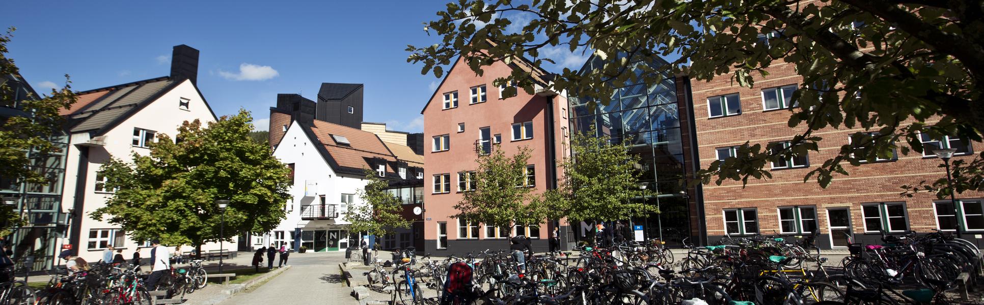 Campus Sundsvall