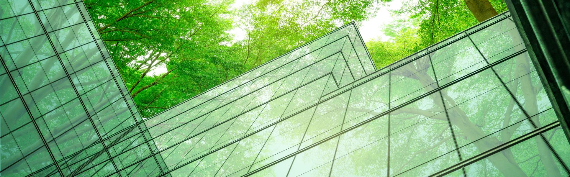 An abstract photo of tree tops and glass walls