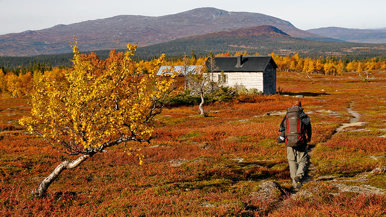 Linda Bylund_Fjällens rörelsearv.jpg
