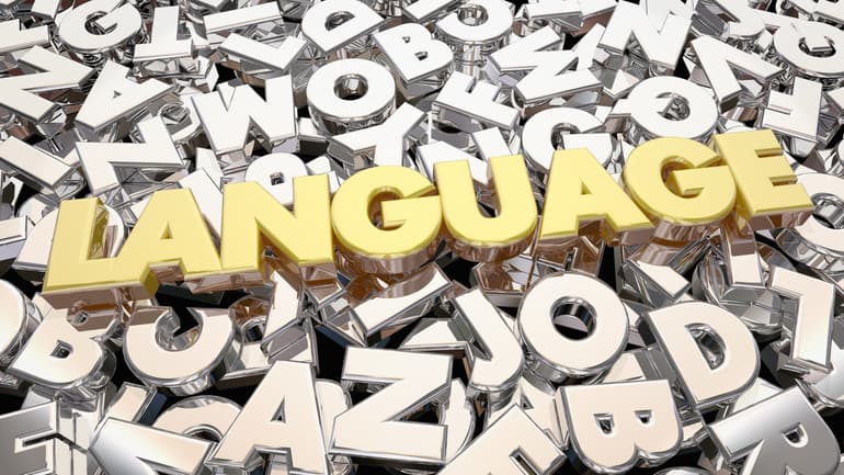 language.jpg