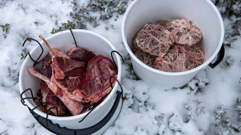Renkött och gorpie färdigt att röka.