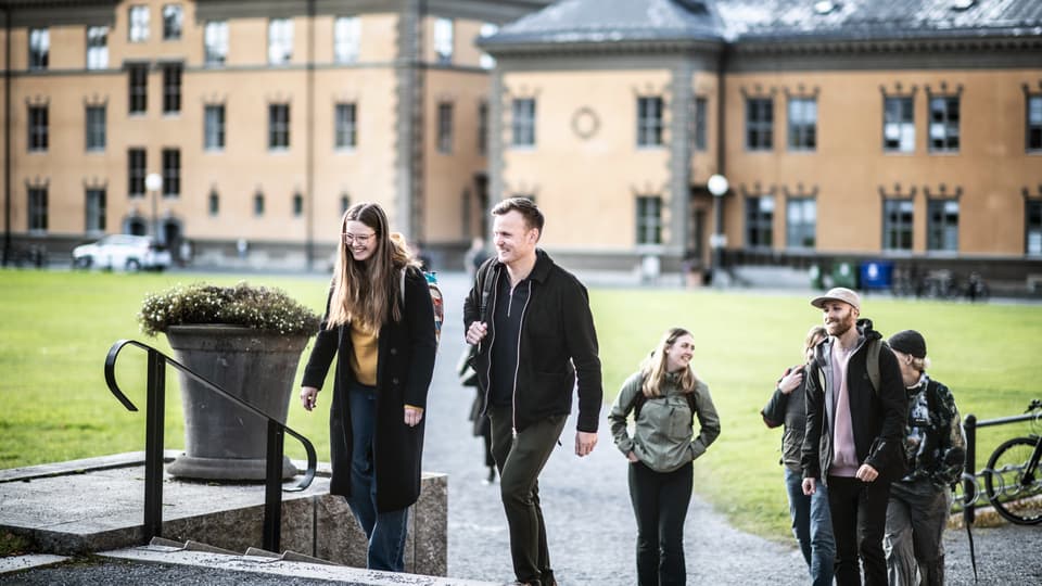 Students in a campus environment.