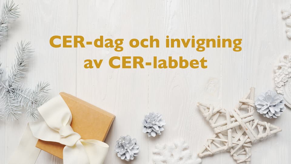 CER-dag.jpg