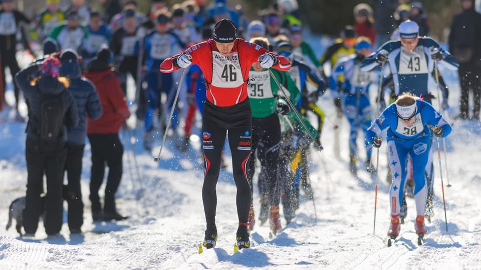 11593587-just-after-the-start-of-the-stockholm-ski-marathon-in-cross-country-skiing.jpg