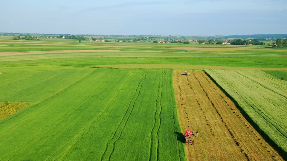 1318647-aerial-view-of-green-meadow.jpg