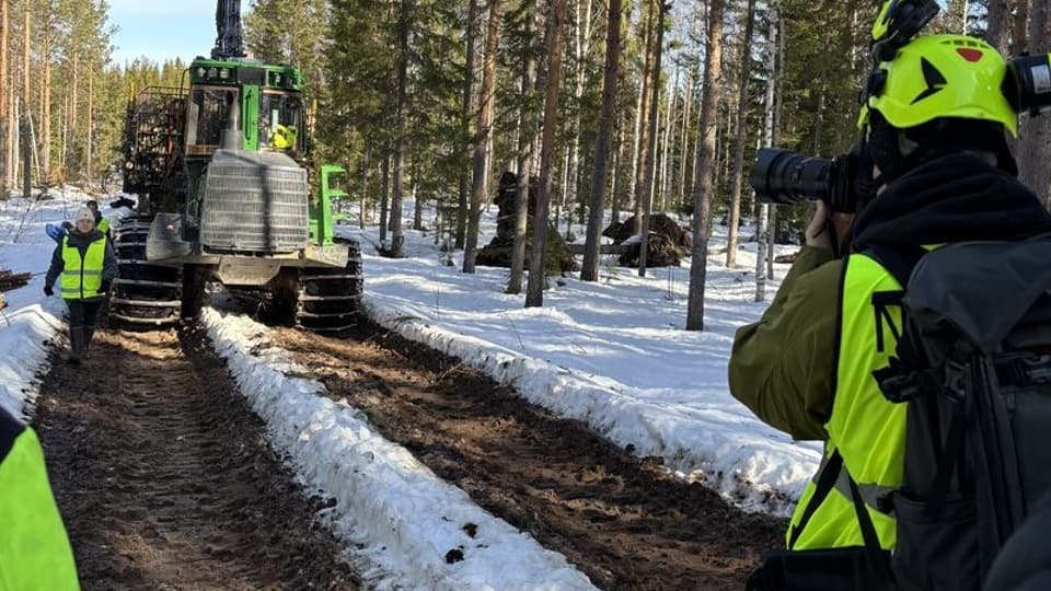 praktik på SCA