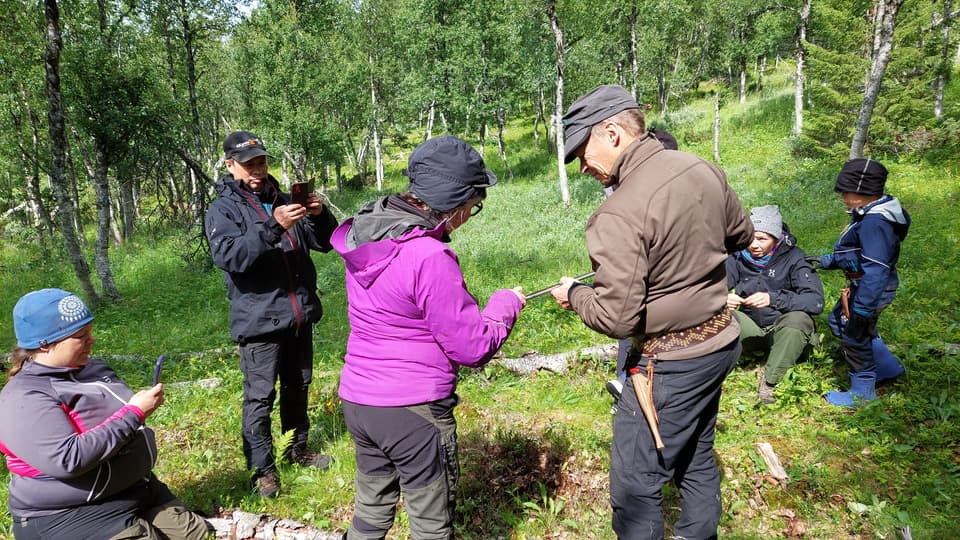 Six persons in the birch forest. 