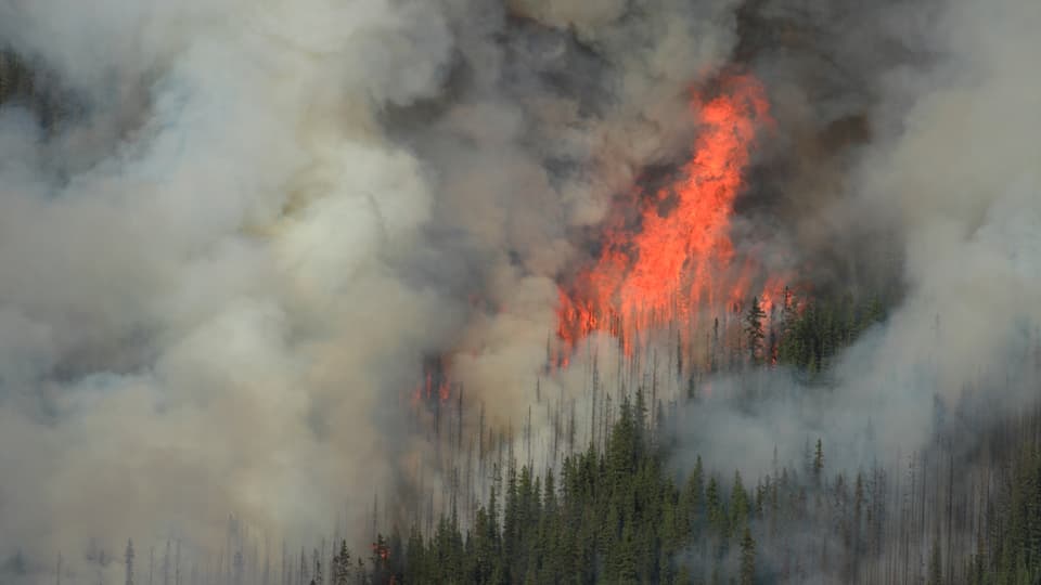 Skogsbrand från luften, flygfoto