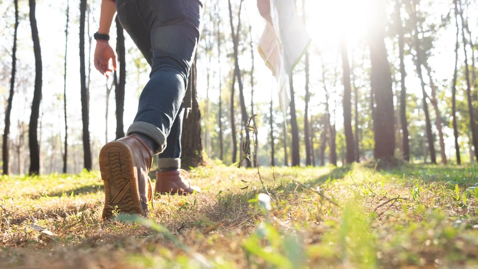 En person promenerar i en gles skog. Personen syns från midjan och ner. Solen skiner.