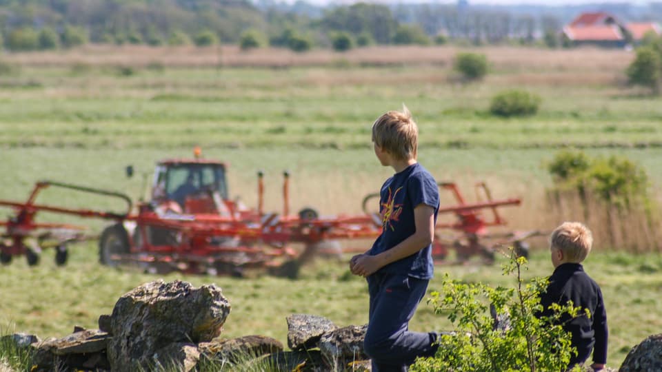 36343263-two-boys-watching-farming-work-silvertid.jpg