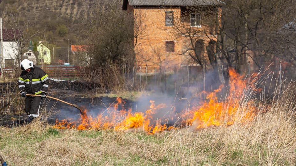 A firefighter standing in tall grass holding a large stick. The gras next to them is on fire. There are houses in the background.