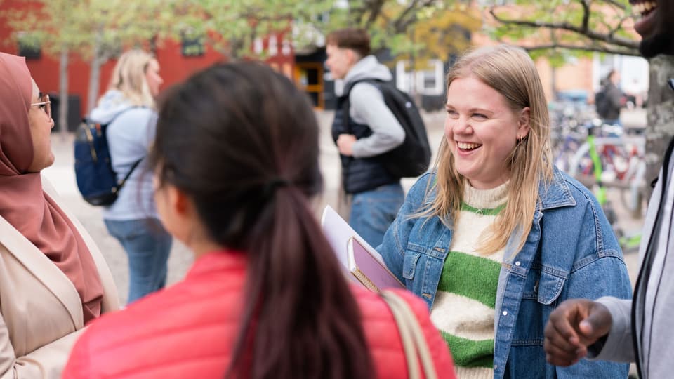  A group of students standing and talking to each other outside the campus.