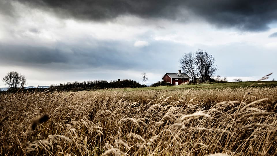 _DSC2798_liten.jpg