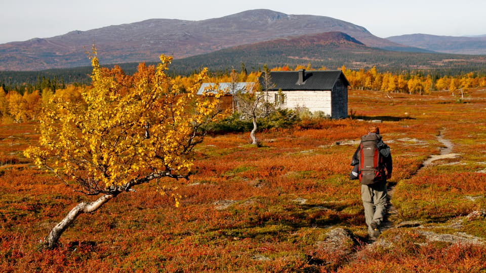 Vägar till mångfunktionella fjällandskap