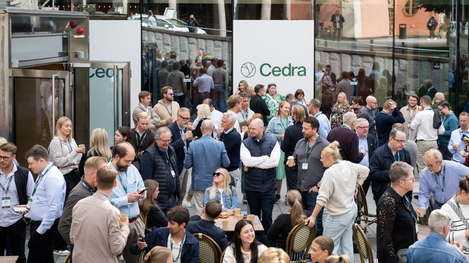 Cedra är är en fullservicebyrå som erbjuder revision och affärsrådgivning. Cedra är också partner i CER-nätverket