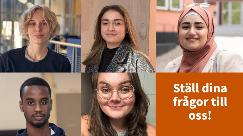 Bilder på våra studentambassadörer.