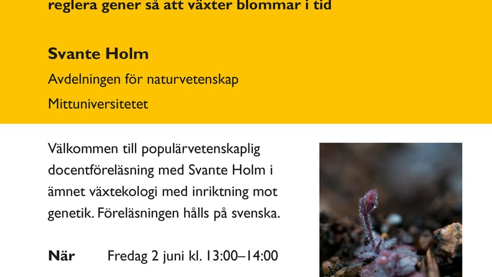 Docent Svante.jpg