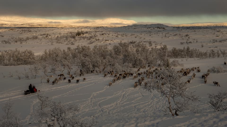 Fjällandskap täckt av snö.