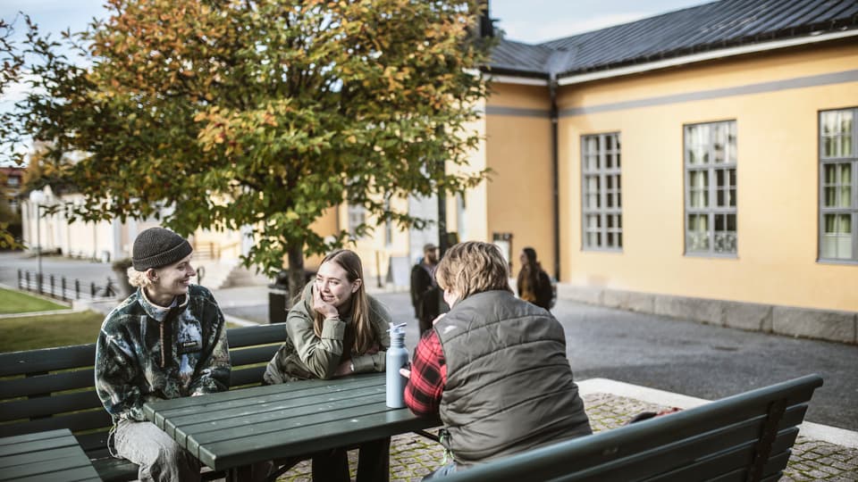 Students in a campus environment.