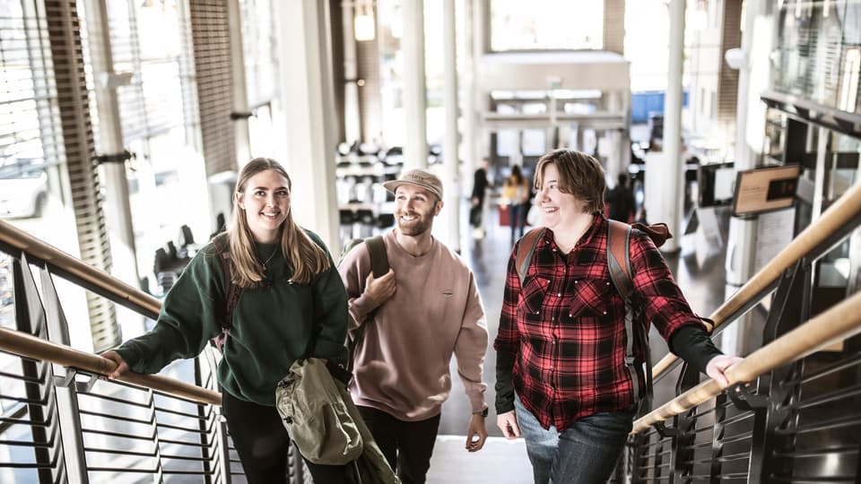 Studenter i campusmiljö.
