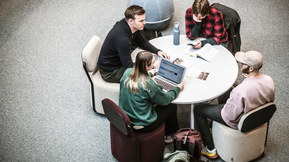 Students in a campus environment.
