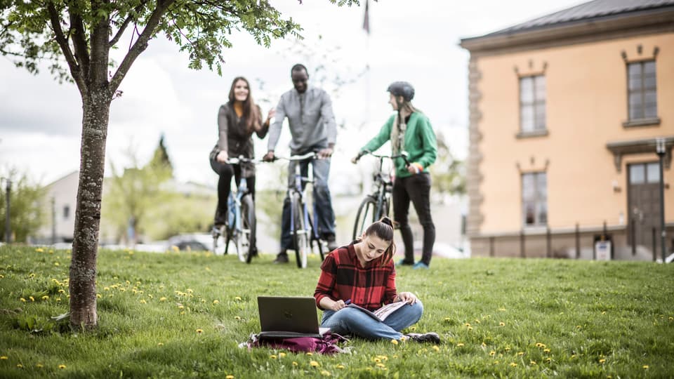 Internationalisering, IRO, internationella studenter, utbytesstudenter, utbytesstudier 