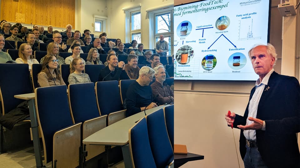 ett collage av en grupp åhörare och en man som står och pratar