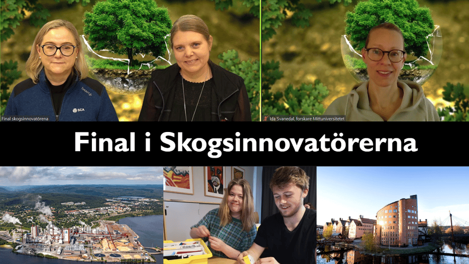 Juryn i Skogsinnovatörerna i en studio. 
