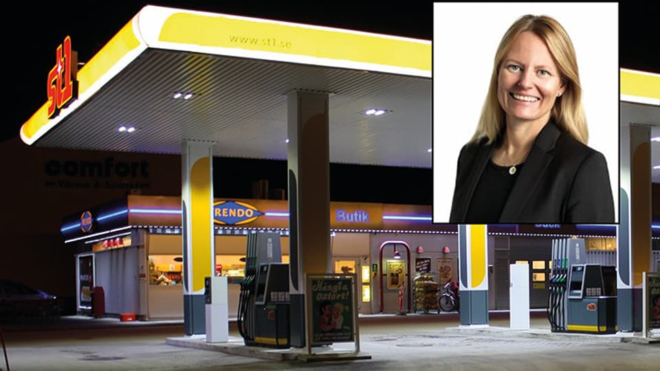 Hilde wahl montage liten liten.jpg