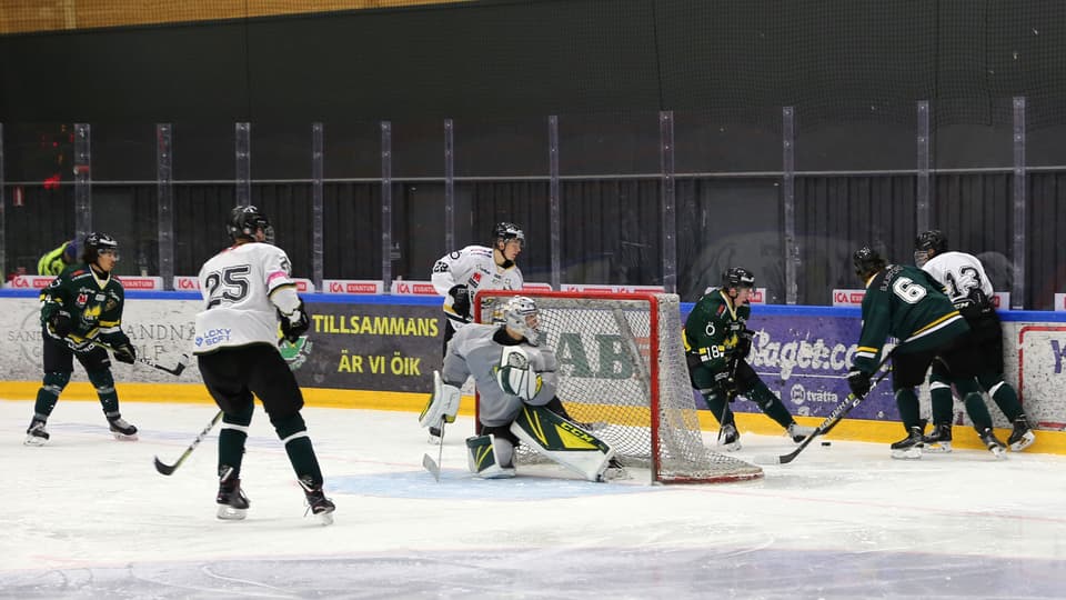 Hockey-Nestor-web.jpg